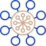 Social Media Management
